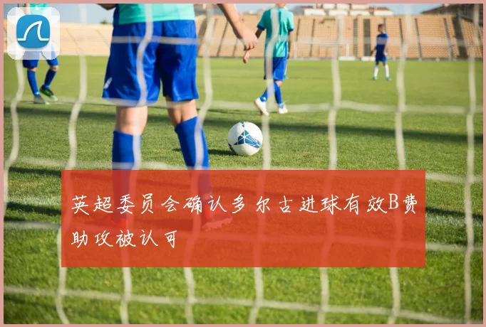 英超委员会确认多尔古进球有效B费助攻被认可